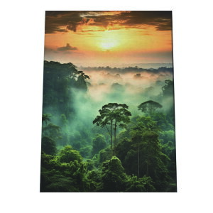 |X^[ WO X   [Ă iF R J i v  i`CeA A[o_ A[fRylh-poster-2892z