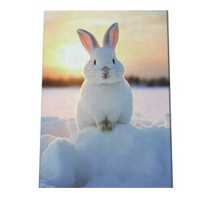 NX}X|X^[ Christmas EH[A[g zf[fR[V Ǐ CeA  fUC ~ I[ig c[ylh-poster-2964z