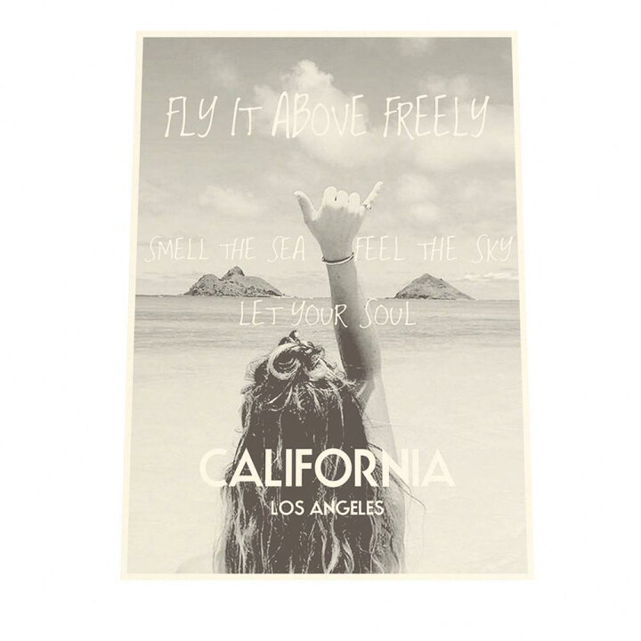 楽天市場 ポスター サイズ 約21x30cm 選べる用紙 大きさ インテリア オシャレ ファッション ポスター フォト モダン シンプル おしゃれ お洒落 サーファー 海 ビーチ 浜辺 水着 外国人 筋肉 サーフ ボード 波 夏 西海岸 ビーチハウス ハワイ カリフォルニア