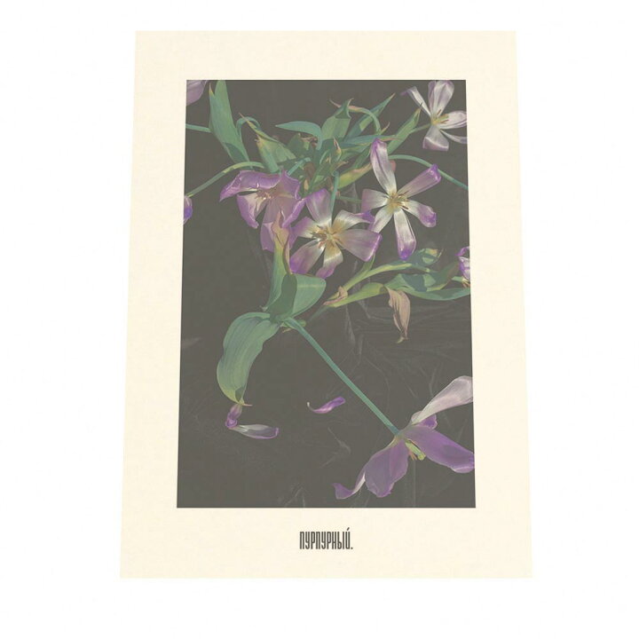 楽天市場 ポスター A3サイズ 約30x42cm 選べる用紙 大きさ インテリア オシャレ ファッション ポスター シンプル おしゃれ 韓国 ヨーロッパ ナチュラル 北欧 ボタニカル 花 紫 パープル むらさき カフェ レトロ ヴィンテージ インテリア ファッションポスター