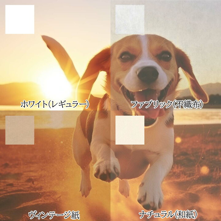 楽天市場】ビーグル 犬 ドッグ 動物 波 サーフ ビーチ 走る ペット 夏 