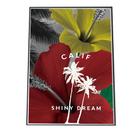 楽天市場 外国人 オシャレ 画像の通販