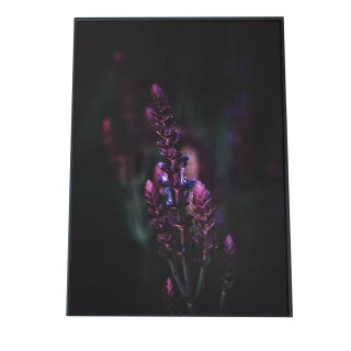 楽天市場 ポスターの色で探す パープル インテリア ファッションポスター