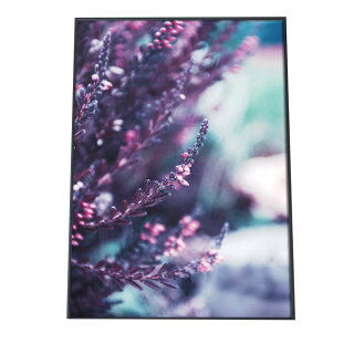 楽天市場 ポスターの色で探す パープル インテリア ファッションポスター