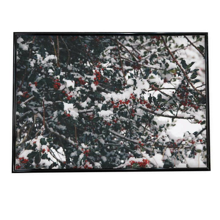 楽天市場 ポスター B2サイズ 約51x73cm 選べる用紙 大きさ ポスター インテリア おしゃれ ファッション ポスター 韓国 ヒイラギ リース 雪 冬 結晶 北欧 クリスマス アート フォト 写真 もみの木 観葉植物 ナチュラル 植物 インテリア ファッションポスター