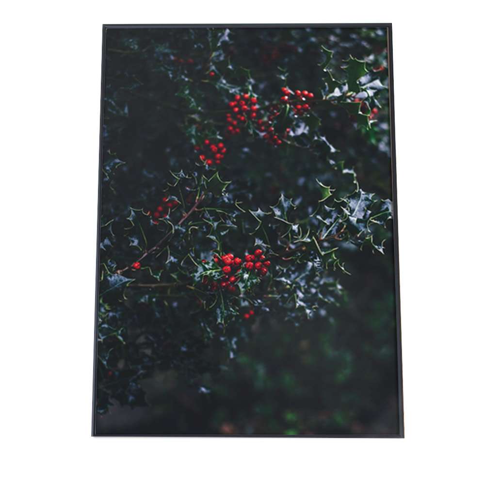 こちらのポスターはA3サイズです ポスター A3サイズ 約30x42cm 選べる用紙 大きさ インテリア おしゃれ ファッション 韓国 ヒイラギ リース 素敵な 雪 観葉植物 もみの木 フォト 飾り 冬 公式の店舗 ナチュラル 結晶 アート クリスマス 北欧 植物 写真