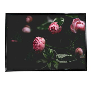 楽天市場 ポスターの色で探す レッド インテリア ファッションポスター