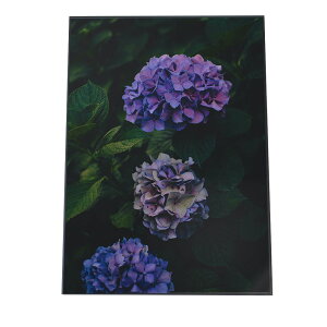 紫 花 おしゃれ インテリア 家具の人気商品 通販 価格比較 価格 Com