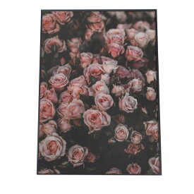 楽天市場 サイズ薔薇ポスターの通販