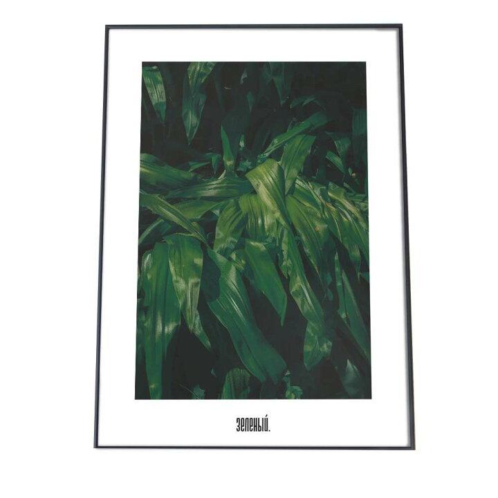 楽天市場 ポスター A3サイズ 約30x42cm 選べる用紙 大きさ インテリア オシャレ ファッション ポスター シンプル おしゃれ 韓国 ヨーロッパ ナチュラル 北欧 森 ジャングル ボタニカル 緑 高画質 植物 カフェ レトロ ヴィンテージ インテリア ファッションポスター 楽天市場 ポスター A3サイズ 約30x42cm 選べる用紙 大きさ インテリア オシャレ ファッション ポスター シンプル おしゃれ 韓国 ヨーロッパ ナチュラル 北欧 森 ジャングル ボタニカル 緑 高画質 植物 カフェ レトロ ヴィンテージ インテリア ファッションポスター