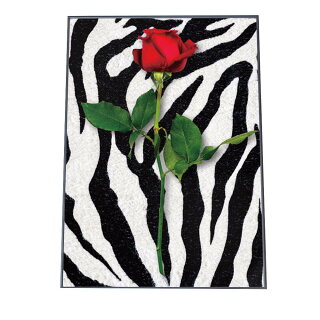 楽天市場 ポスターの色で探す レッド インテリア ファッションポスター