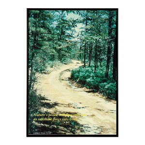 Scenically Yours, Nature�fs peace will flow into you as sunshine flows into trees. Lebanon State Forest, New Jersey���Â��|�X�^�[ ���� �f�W�^�����}�X�^�[ �ÓT �A���e�B�[�N ���� ���a �吳 ���j �C���e���A ������� 