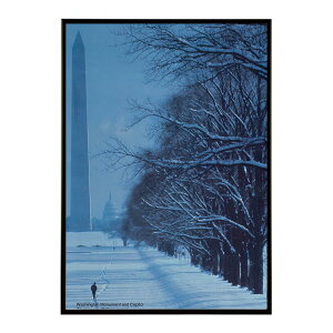 Scenically_Yours_Washington_Monument_and_Capitol_Washington_DC���Â��|�X�^�[ ���� �f�W�^�����}�X�^�[ �ÓT �A���e�B�[�N ���� ���a �吳 ���j �C���e���A ������� �v�����g�|�X�^�[ �t�H�g �I�V���� �A�[