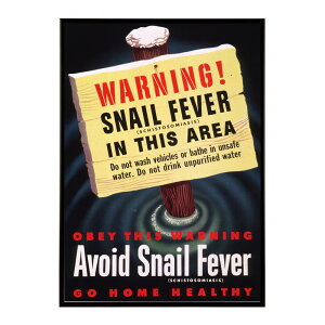 Warning?snail_fever_(schistosomiasis)_in_this_area���Â��|�X�^�[ ���� �f�W�^�����}�X�^�[ �ÓT �A���e�B�[�N ���� ���a �吳 ���j �C���e���A ������� �v�����g�|�X�^�[ �t�H�g �I�V���� �A�[�g ���_