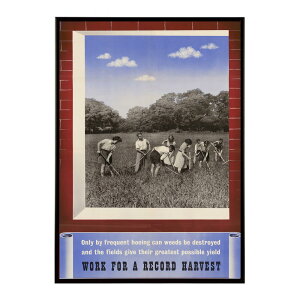 Only by Frequent Hoeing Can Weeds be Destroyed and the Fields Give Their Greatest Possible Yield ? Work for a Record Harvest �����g�� �Â� ���E �|�X�^�[ �C���e���A �N���V�b�N �ÓT �f�W�^�����}�X�^�[ ������� ���_�� 