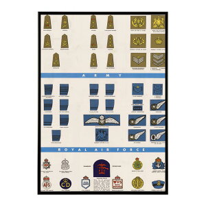 Ranks and Insignia of the British Armed Forces 2 �����g�� �Â� ���E �|�X�^�[ �C���e���A �N���V�b�N �ÓT ���B���e�[�W �A���e�B�[�N �f�W�^�����}�X�^�[ ������� �v�����g�|�X�^�[ �t�H�g �I�V���� 