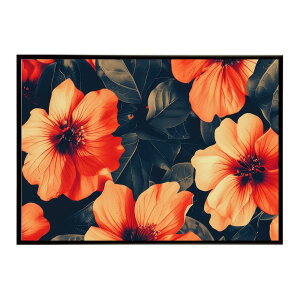 g Be[W ÓT  t[ A u[P G CXg|X^[ pƃTCYIׂ CeA  vg|X^[ tHg IV A[g _ Vv  