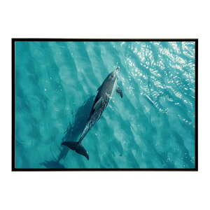 �C���J �C �u���[ �h���t�B�� �� �|�X�^�[ �N�W�� �V���` ������ �����@�썑 �n���C ���R �T�[�t�p���ƃT�C�Y���I�ׂ� �C���e���A ������� �v�����g�|�X�^�[ �t�H�g �I�V���� �A�[�g ������