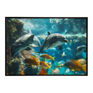 CJ C u[ htB  |X^[ NW V`  @썑 nC R T[tpƃTCYIׂ CeA  vg|X^[ tHg IV A[g 