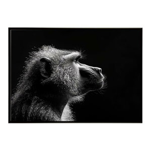 Baboon �q�q �o�u�[�� �T�o���i �A�t���J ���� ���R �l�C�`���[ ���� �A�j�}�� �쐶���� �ʐ^ ���|�X�^�[ �C���e���A ������� �v�����g�|�X�^�[ �t�H�g �V���v�� ������ ���� �傫��/lh-poster-613