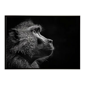 Baboon �q�q �o�u�[�� �T�o���i �A�t���J ���� ���R �l�C�`���[ ���� �A�j�}�� �쐶���� �ʐ^ ���|�X�^�[ �C���e���A ������� �v�����g�|�X�^�[ �t�H�g �V���v�� ������ ���� �傫��/lh-poster-613