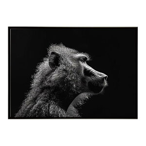 Baboon �q�q �o�u�[�� �T�o���i �A�t���J ���� ���R �l�C�`���[ ���� �A�j�}�� �쐶���� �ʐ^ ���|�X�^�[ �C���e���A ������� �v�����g�|�X�^�[ �t�H�g �V���v�� ������ ���� �傫��/lh-poster-613