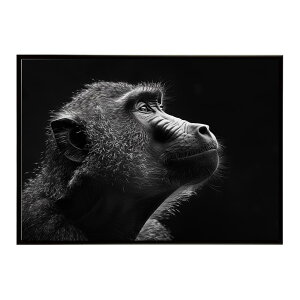 Baboon �q�q �o�u�[�� �T�o���i �A�t���J ���� ���R �l�C�`���[ ���� �A�j�}�� �쐶���� �ʐ^ ���|�X�^�[ �C���e���A ������� �v�����g�|�X�^�[ �t�H�g �V���v�� ������ ���� �傫��/lh-poster-613