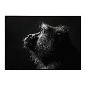 Baboon �q�q �o�u�[�� �T�o���i �A�t���J ���� ���R �l�C�`���[ ���� �A�j�}�� �쐶���� �ʐ^ ���|�X�^�[ �C���e���A ������� �v�����g�|�X�^�[ �t�H�g �V���v�� ������ ���� �傫��/lh-poster-613