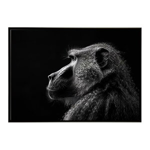 Baboon �q�q �o�u�[�� �T�o���i �A�t���J ���� ���R �l�C�`���[ ���� �A�j�}�� �쐶���� �ʐ^ ���|�X�^�[ �C���e���A ������� �v�����g�|�X�^�[ �t�H�g �V���v�� ������ ���� �傫��/lh-poster-614