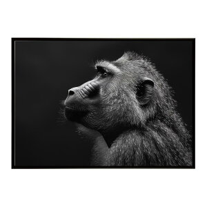 Baboon �q�q �o�u�[�� �T�o���i �A�t���J ���� ���R �l�C�`���[ ���� �A�j�}�� �쐶���� �ʐ^ ���|�X�^�[ �C���e���A ������� �v�����g�|�X�^�[ �t�H�g �V���v�� ������ ���� �傫��/lh-poster-614