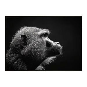 Baboon �q�q �o�u�[�� �T�o���i �A�t���J ���� ���R �l�C�`���[ ���� �A�j�}�� �쐶���� �ʐ^ ���|�X�^�[ �C���e���A ������� �v�����g�|�X�^�[ �t�H�g �V���v�� ������ ���� �傫��/lh-poster-614