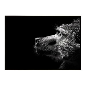 Baboon �q�q �o�u�[�� �T�o���i �A�t���J ���� ���R �l�C�`���[ ���� �A�j�}�� �쐶���� �ʐ^ ���|�X�^�[ �C���e���A ������� �v�����g�|�X�^�[ �t�H�g �V���v�� ������ ���� �傫��/lh-poster-614