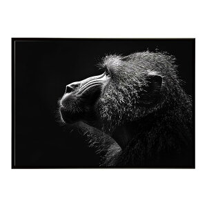 Baboon �q�q �o�u�[�� �T�o���i �A�t���J ���� ���R �l�C�`���[ ���� �A�j�}�� �쐶���� �ʐ^ ���|�X�^�[ �C���e���A ������� �v�����g�|�X�^�[ �t�H�g �V���v�� ������ ���� �傫��/lh-poster-614