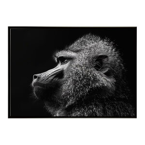 Baboon �q�q �o�u�[�� �T�o���i �A�t���J ���� ���R �l�C�`���[ ���� �A�j�}�� �쐶���� �ʐ^ ���|�X�^�[ �C���e���A ������� �v�����g�|�X�^�[ �t�H�g �V���v�� ������ ���� �傫��/lh-poster-614