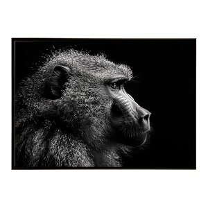 Baboon �q�q �o�u�[�� �T�o���i �A�t���J ���� ���R �l�C�`���[ ���� �A�j�}�� �쐶���� �ʐ^ ���|�X�^�[ �C���e���A ������� �v�����g�|�X�^�[ �t�H�g �V���v�� ������ ���� �傫��/lh-poster-615