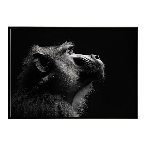 Baboon �q�q �o�u�[�� �T�o���i �A�t���J ���� ���R �l�C�`���[ ���� �A�j�}�� �쐶���� �ʐ^ ���|�X�^�[ �C���e���A ������� �v�����g�|�X�^�[ �t�H�g �V���v�� ������ ���� �傫��/lh-poster-615