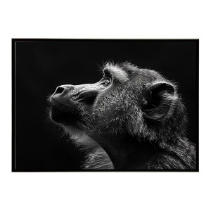 Baboon �q�q �o�u�[�� �T�o���i �A�t���J ���� ���R �l�C�`���[ ���� �A�j�}�� �쐶���� �ʐ^ ���|�X�^�[ �C���e���A ������� �v�����g�|�X�^�[ �t�H�g �V���v�� ������ ���� �傫��/lh-poster-615