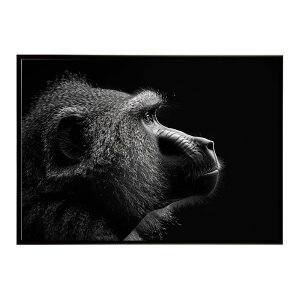 Baboon �q�q �o�u�[�� �T�o���i �A�t���J ���� ���R �l�C�`���[ ���� �A�j�}�� �쐶���� �ʐ^ ���|�X�^�[ �C���e���A ������� �v�����g�|�X�^�[ �t�H�g �V���v�� ������ ���� �傫��/lh-poster-615