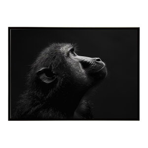 Baboon �q�q �o�u�[�� �T�o���i �A�t���J ���� ���R �l�C�`���[ ���� �A�j�}�� �쐶���� �ʐ^ ���|�X�^�[ �C���e���A ������� �v�����g�|�X�^�[ �t�H�g �V���v�� ������ ���� �傫��/lh-poster-615