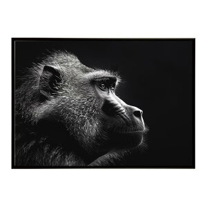Baboon �q�q �o�u�[�� �T�o���i �A�t���J ���� ���R �l�C�`���[ ���� �A�j�}�� �쐶���� �ʐ^ ���|�X�^�[ �C���e���A ������� �v�����g�|�X�^�[ �t�H�g �V���v�� ������ ���� �傫��/lh-poster-615