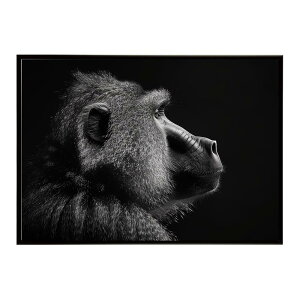 Baboon �q�q �o�u�[�� �T�o���i �A�t���J ���� ���R �l�C�`���[ ���� �A�j�}�� �쐶���� �ʐ^ ���|�X�^�[ �C���e���A ������� �v�����g�|�X�^�[ �t�H�g �V���v�� ������ ���� �傫��/lh-poster-616