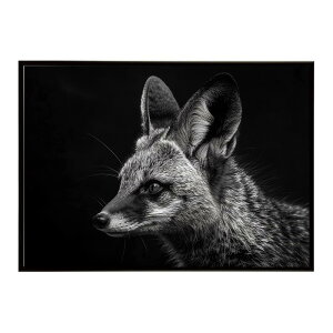 Bat-eared fox �I�I�~�~�M�c�l �T�o���i �A�t���J ���� ���R �l�C�`���[ ���� �A�j�}�� �쐶���� �ʐ^ �� �L�c�l�|�X�^�[ �C���e���A ������� �v�����g�|�X�^�[ �t�H�g �V���v�� ������ ���� ��