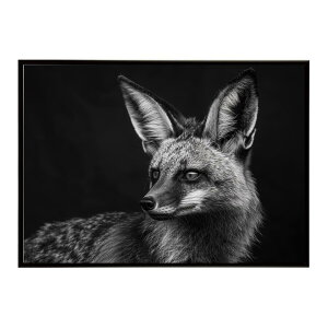Bat-eared fox �I�I�~�~�M�c�l �T�o���i �A�t���J ���� ���R �l�C�`���[ ���� �A�j�}�� �쐶���� �ʐ^ �� �L�c�l�|�X�^�[ �C���e���A ������� �v�����g�|�X�^�[ �t�H�g �V���v�� ������ ���� ��
