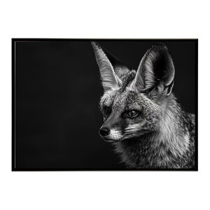 Bat-eared fox �I�I�~�~�M�c�l �T�o���i �A�t���J ���� ���R �l�C�`���[ ���� �A�j�}�� �쐶���� �ʐ^ �� �L�c�l�|�X�^�[ �C���e���A ������� �v�����g�|�X�^�[ �t�H�g �V���v�� ������ ���� ��