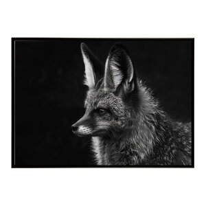 Bat-eared fox �I�I�~�~�M�c�l �T�o���i �A�t���J ���� ���R �l�C�`���[ ���� �A�j�}�� �쐶���� �ʐ^ �� �L�c�l�|�X�^�[ �C���e���A ������� �v�����g�|�X�^�[ �t�H�g �V���v�� ������ ���� ��