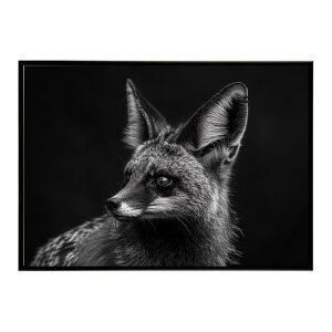 Bat-eared fox �I�I�~�~�M�c�l �T�o���i �A�t���J ���� ���R �l�C�`���[ ���� �A�j�}�� �쐶���� �ʐ^ �� �L�c�l�|�X�^�[ �C���e���A ������� �v�����g�|�X�^�[ �t�H�g �V���v�� ������ ���� ��
