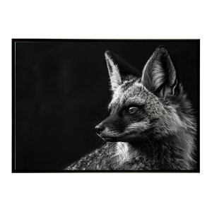 Bat-eared fox �I�I�~�~�M�c�l �T�o���i �A�t���J ���� ���R �l�C�`���[ ���� �A�j�}�� �쐶���� �ʐ^ �� �L�c�l�|�X�^�[ �C���e���A ������� �v�����g�|�X�^�[ �t�H�g �V���v�� ������ ���� ��