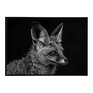 Bat-eared fox �I�I�~�~�M�c�l �T�o���i �A�t���J ���� ���R �l�C�`���[ ���� �A�j�}�� �쐶���� �ʐ^ �� �L�c�l�|�X�^�[ �C���e���A ������� �v�����g�|�X�^�[ �t�H�g �V���v�� ������ ���� ��