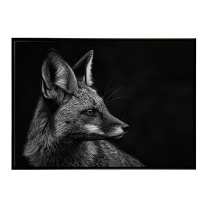 Bat-eared fox �I�I�~�~�M�c�l �T�o���i �A�t���J ���� ���R �l�C�`���[ ���� �A�j�}�� �쐶���� �ʐ^ �� �L�c�l�|�X�^�[ �C���e���A ������� �v�����g�|�X�^�[ �t�H�g �V���v�� ������ ���� ��