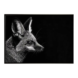 Bat-eared fox �I�I�~�~�M�c�l �T�o���i �A�t���J ���� ���R �l�C�`���[ ���� �A�j�}�� �쐶���� �ʐ^ �� �L�c�l�|�X�^�[ �C���e���A ������� �v�����g�|�X�^�[ �t�H�g �V���v�� ������ ���� ��